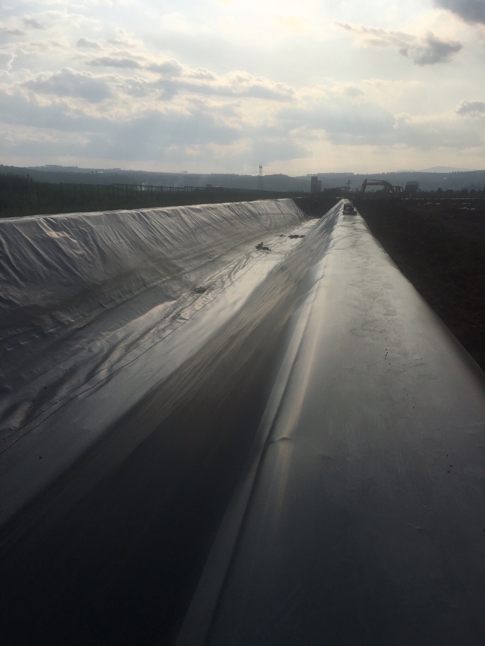 Trang trại BEJO Việt Nam