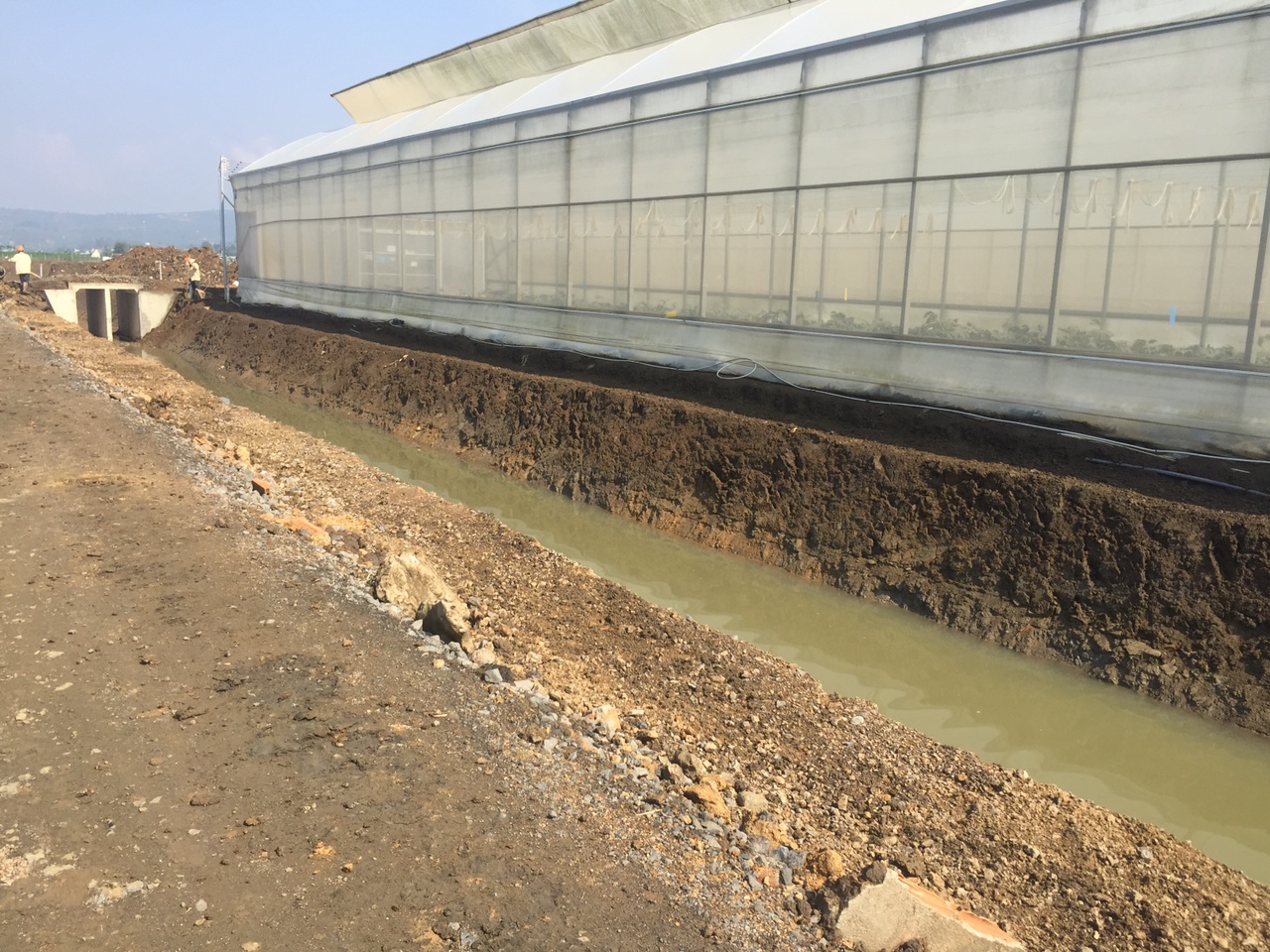 Trang trại BEJO Việt Nam