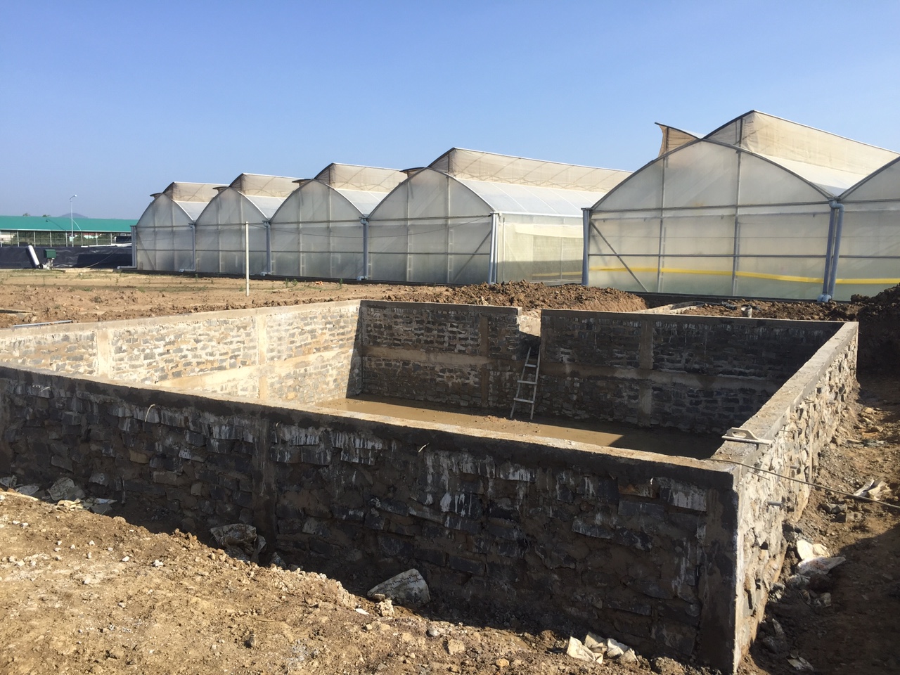 Trang trại BEJO Việt Nam