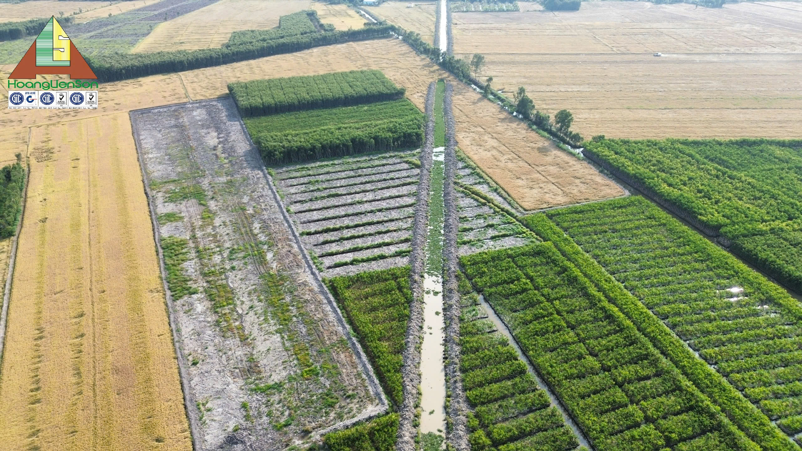 Thi công Tuyến ống bờ - Dự án Đường ống Dẫn khí Lô B - Ô MÔN