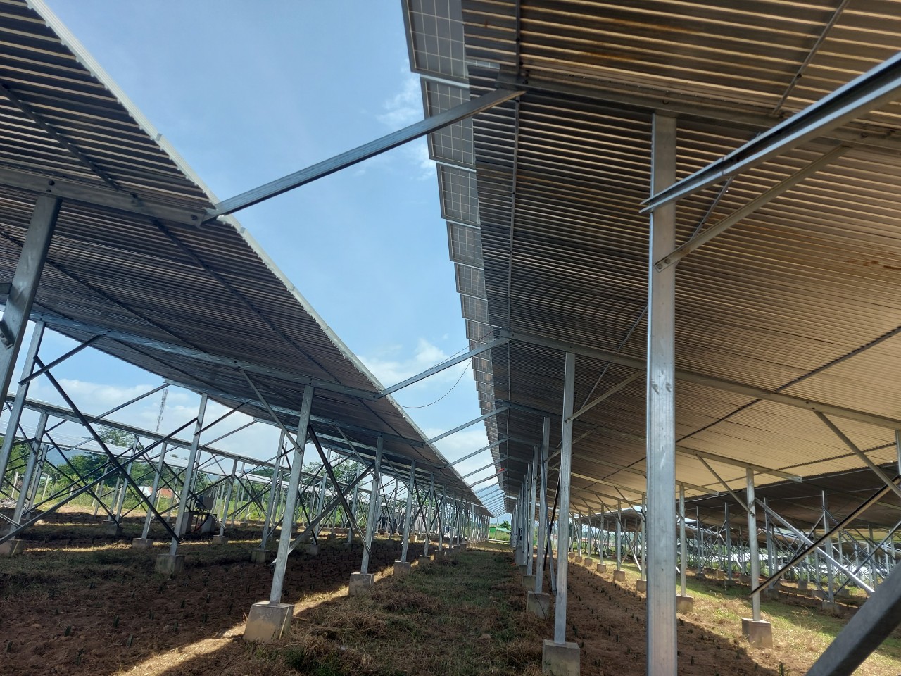 Nhà máy Điện Năng lượng Mặt trời BÁC ÁI