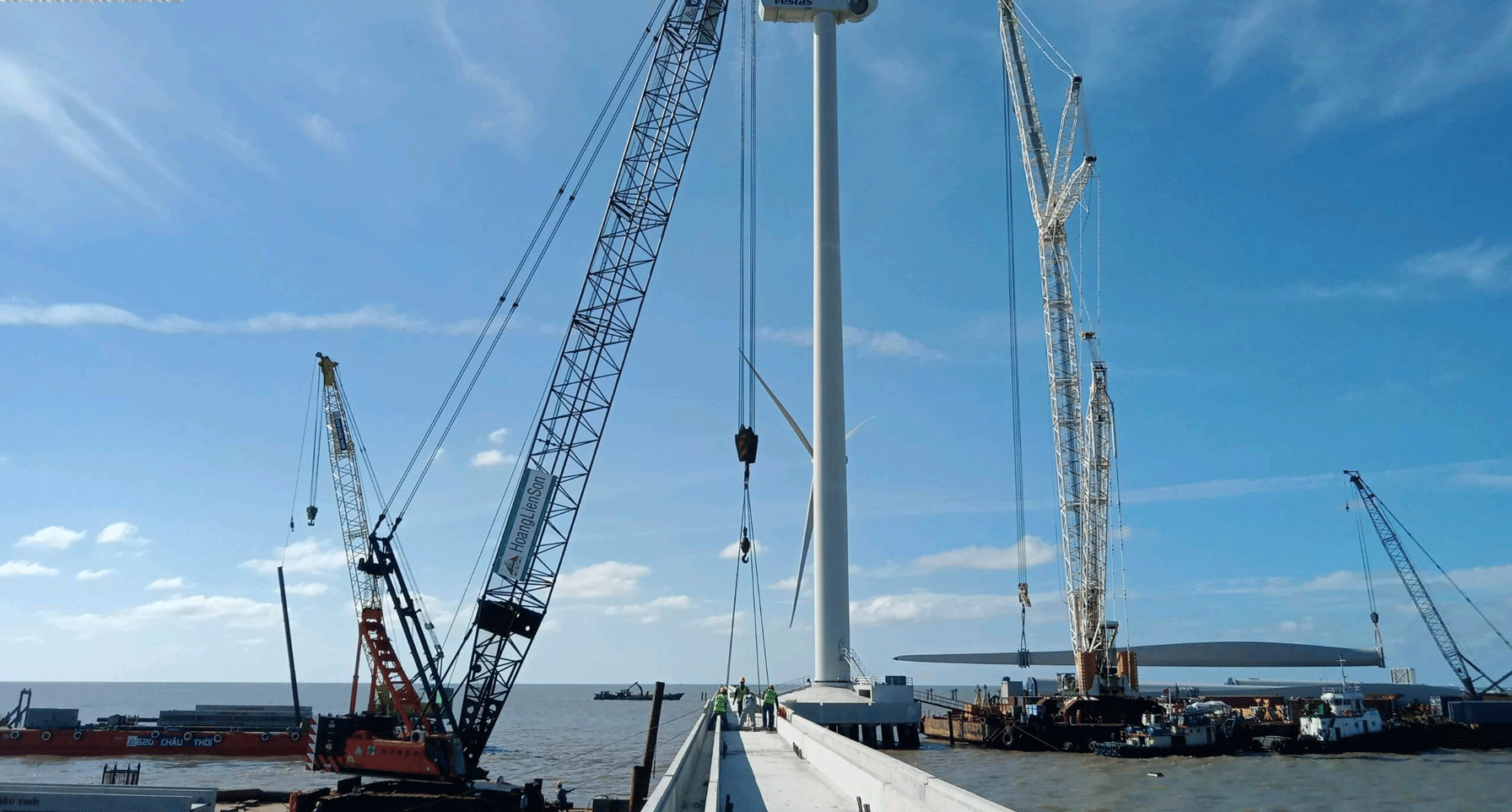 Lĩnh vực Hoạt động